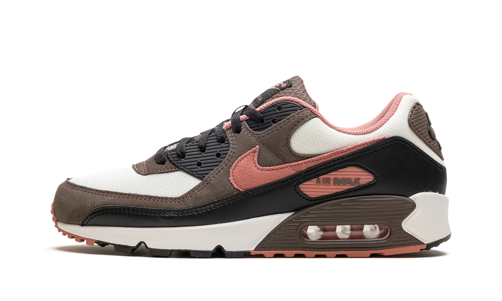 Air Max 90 "Ironstone Red Stardust" DM0029 105