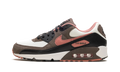 Air Max 90 "Ironstone Red Stardust" DM0029 105