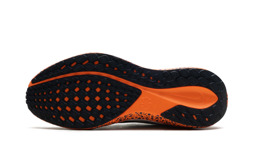 Zoom Pegasus 41 "Safari" FV2229 900