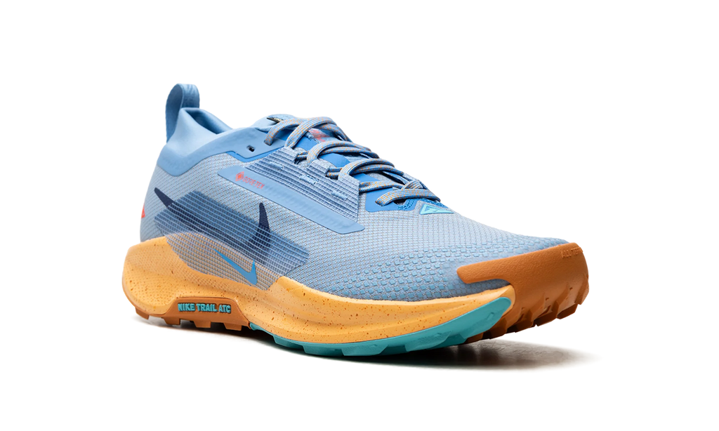 Pegasus Trail 5 Gore-Tex "Blue Beyond" FQ0908 400