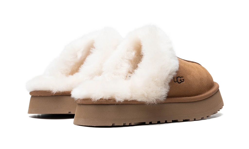 DISQUETTE WMNS "Chestnut" 1122550 CHE