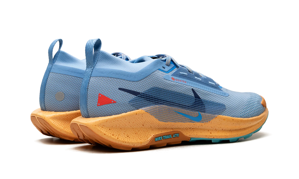 Pegasus Trail 5 Gore-Tex "Blue Beyond" FQ0908 400