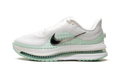 Pegasus Premium WMNS "White Mint Foam" HQ2593 103