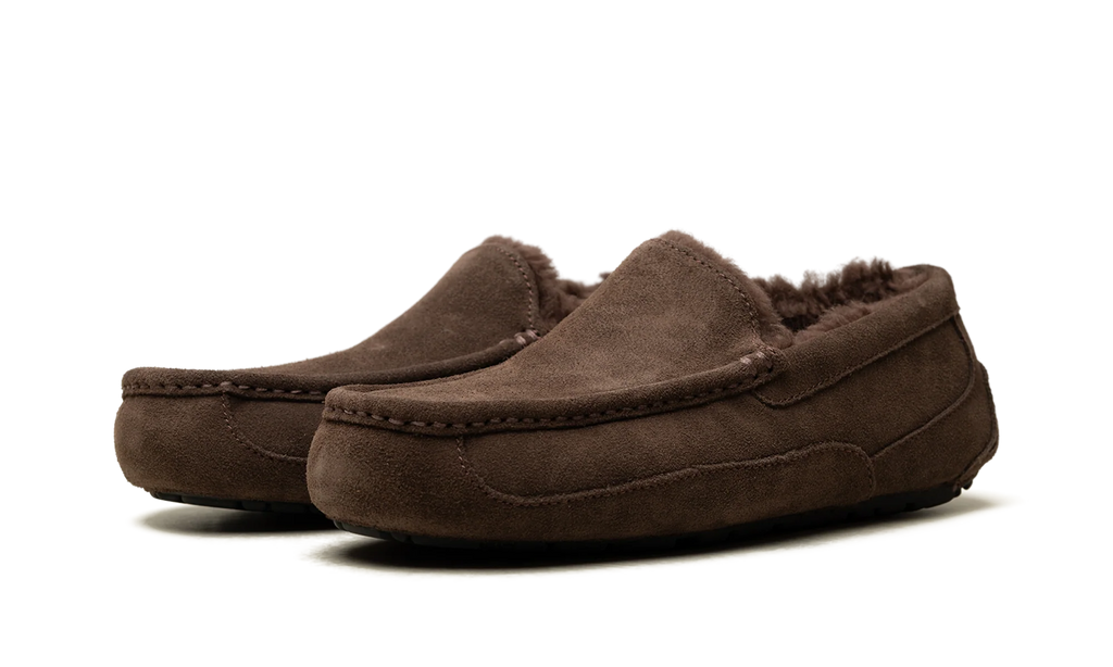 Ascot Slipper "Dusted Cocoa" 1101110 DDC