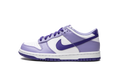 Dunk Low GS "Blueberry" DZ4456 100