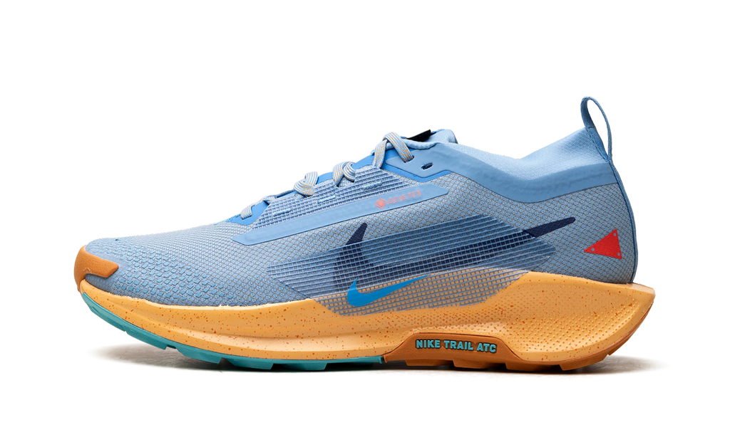 Pegasus Trail 5 Gore-Tex "Blue Beyond" FQ0908 400