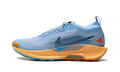 Pegasus Trail 5 Gore-Tex "Blue Beyond" FQ0908 400