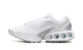 Air Max Dn WMNS "White Metallic Silver" Fj3145 102