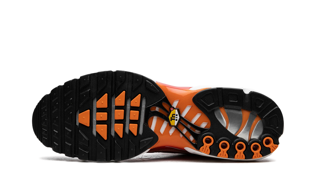 Air Max Plus "Light Photography - Sport Red" DZ3531 600
