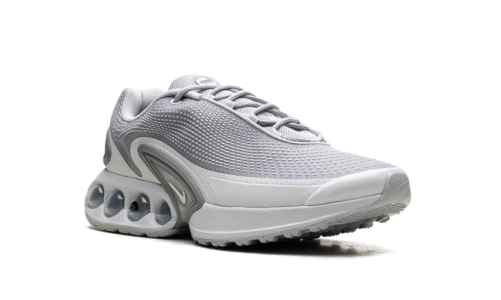 Air Max Dn "Wolf Grey" DV3337 007