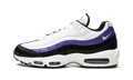 Air Max 95 "Persian Violet" DO5960 100