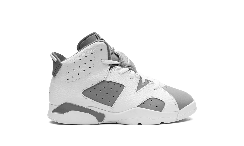 Air Jordan 6 PS "Cool Grey" DV3605 100
