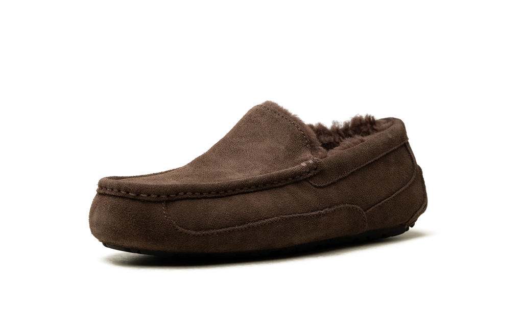 Ascot Slipper "Dusted Cocoa" 1101110 DDC