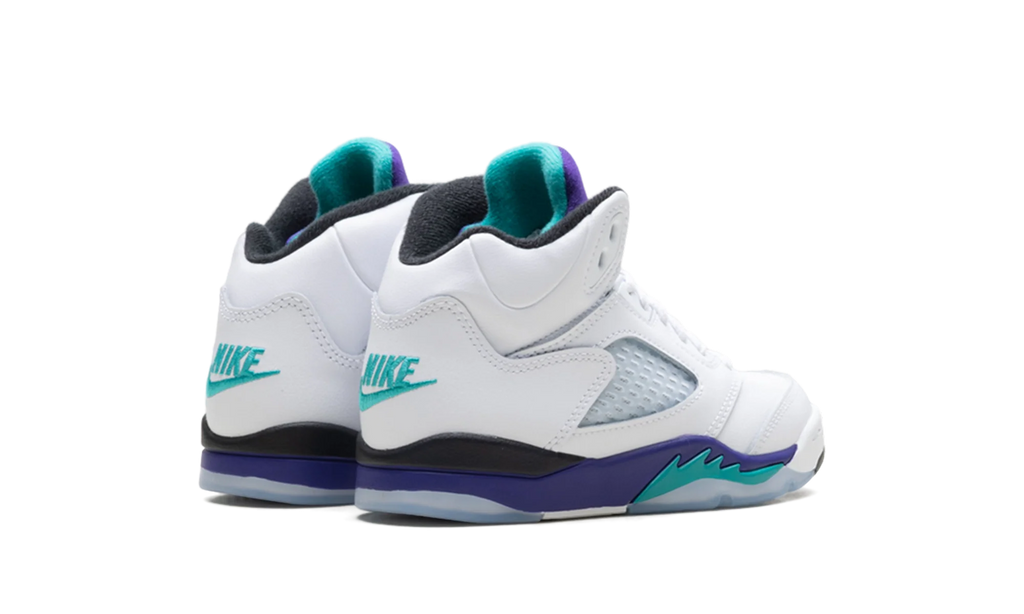 Air Jordan 5 Retro PS "Grape" HQ7979 100