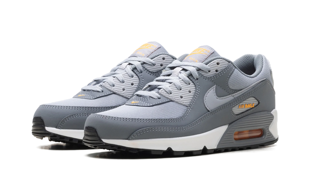Air Max 90 "Cool Grey Sundial" HV6224 002