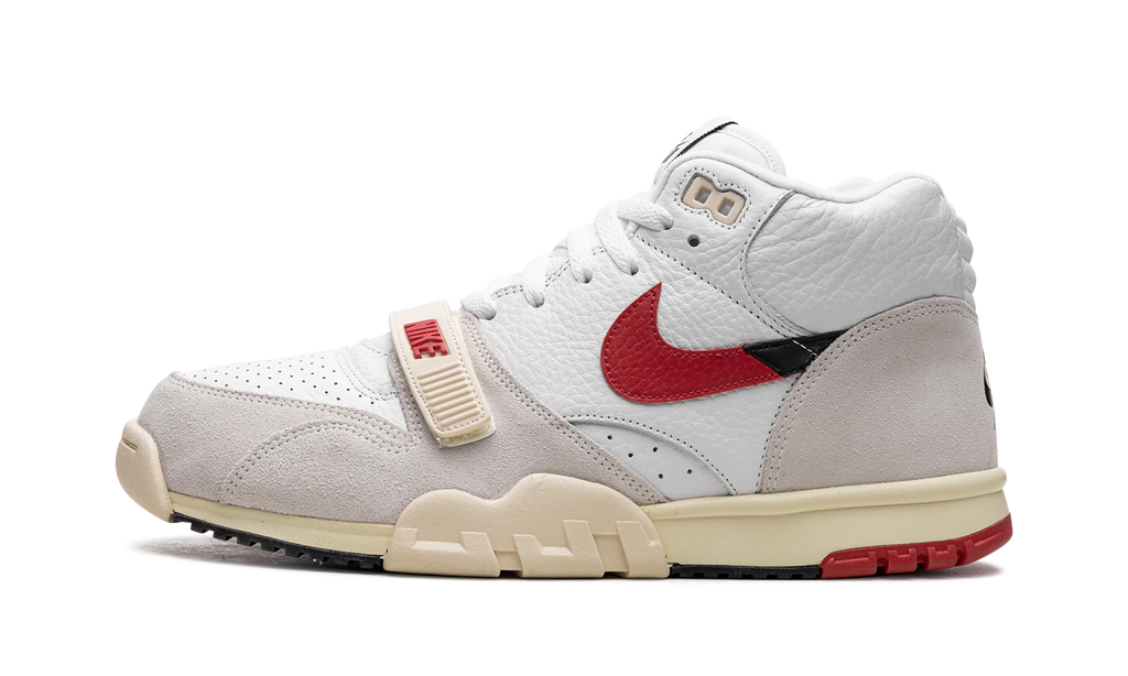 Air Trainer 1 "Split - Chicago" DZ2547 100
