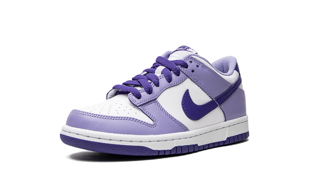 Dunk Low GS "Blueberry" DZ4456 100