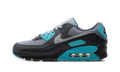 Air Max 90 "Dusty Cactus" DM0029 013