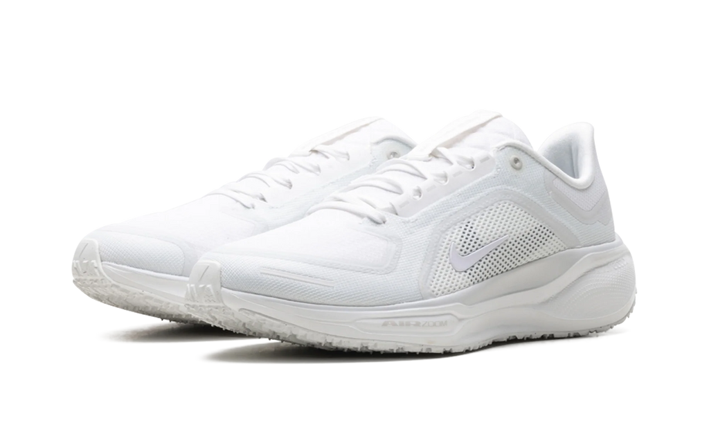Air Zoom Pegasus 41 "Gore-Tex" FQ1356 101