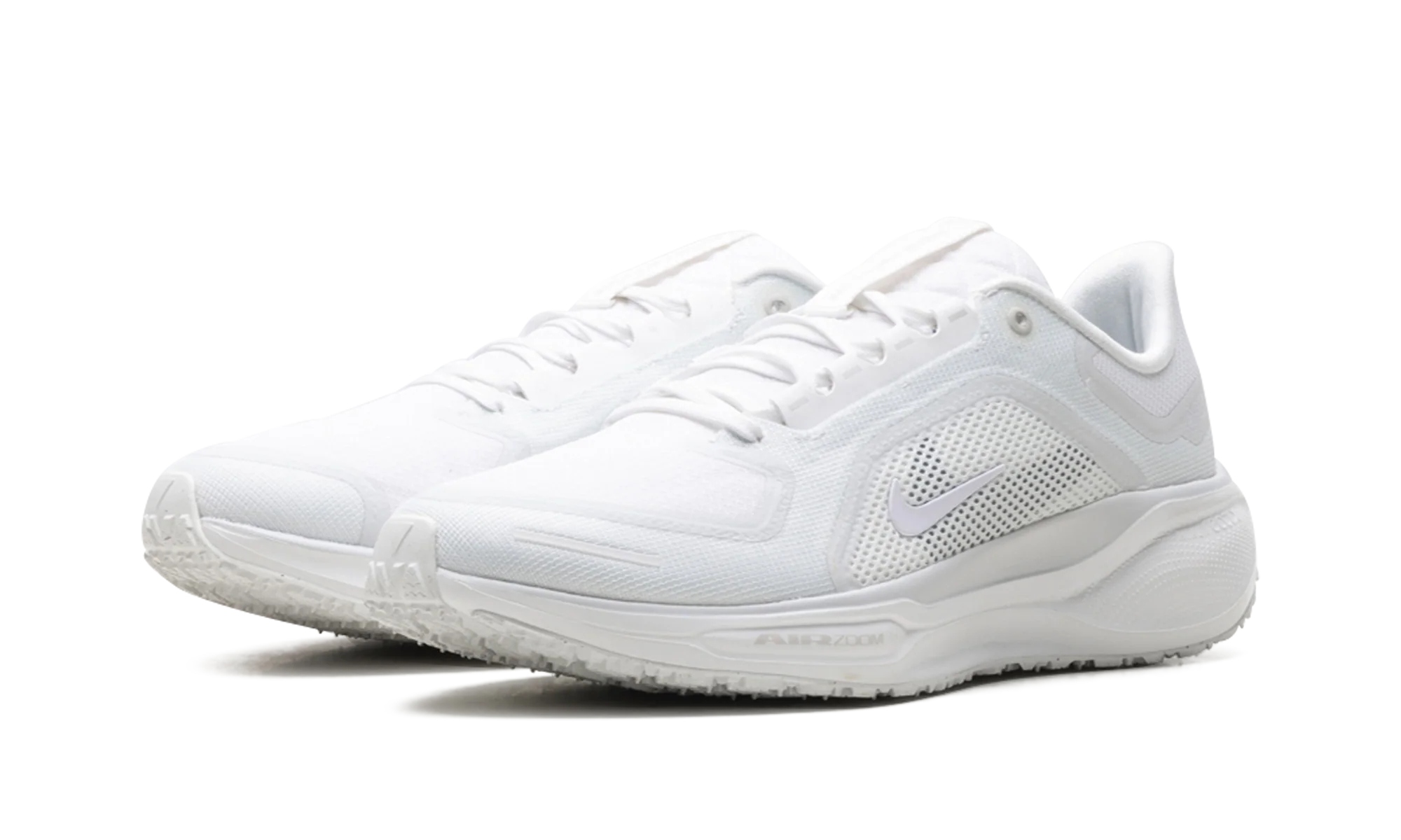 Air Zoom Pegasus 41 "Gore-Tex" FQ1356 101