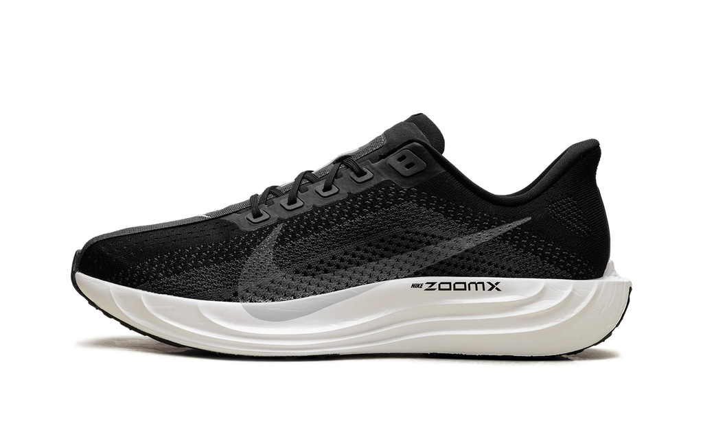 ZoomX Pegasus Plus "Black Pure Platinum" FQ7262 002