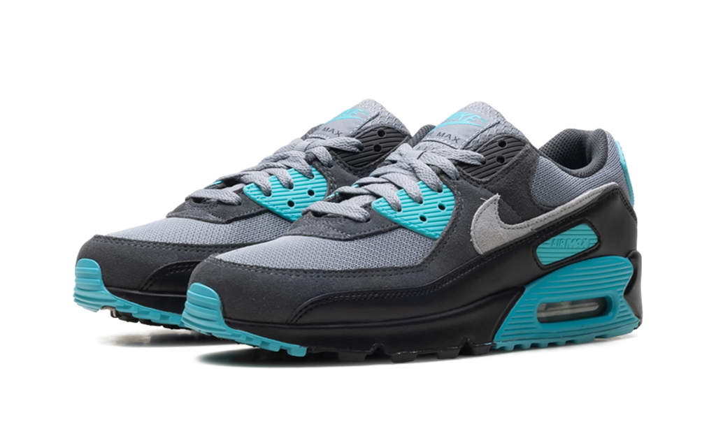 Air Max 90 "Dusty Cactus" DM0029 013