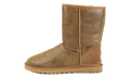 Classic Short Bomber Boot "Bomber Jacket Chestnut" 5984 BJCE