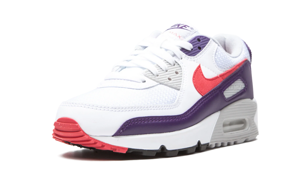 Air Max 90 WMNS "Eggplant" CW1360 100