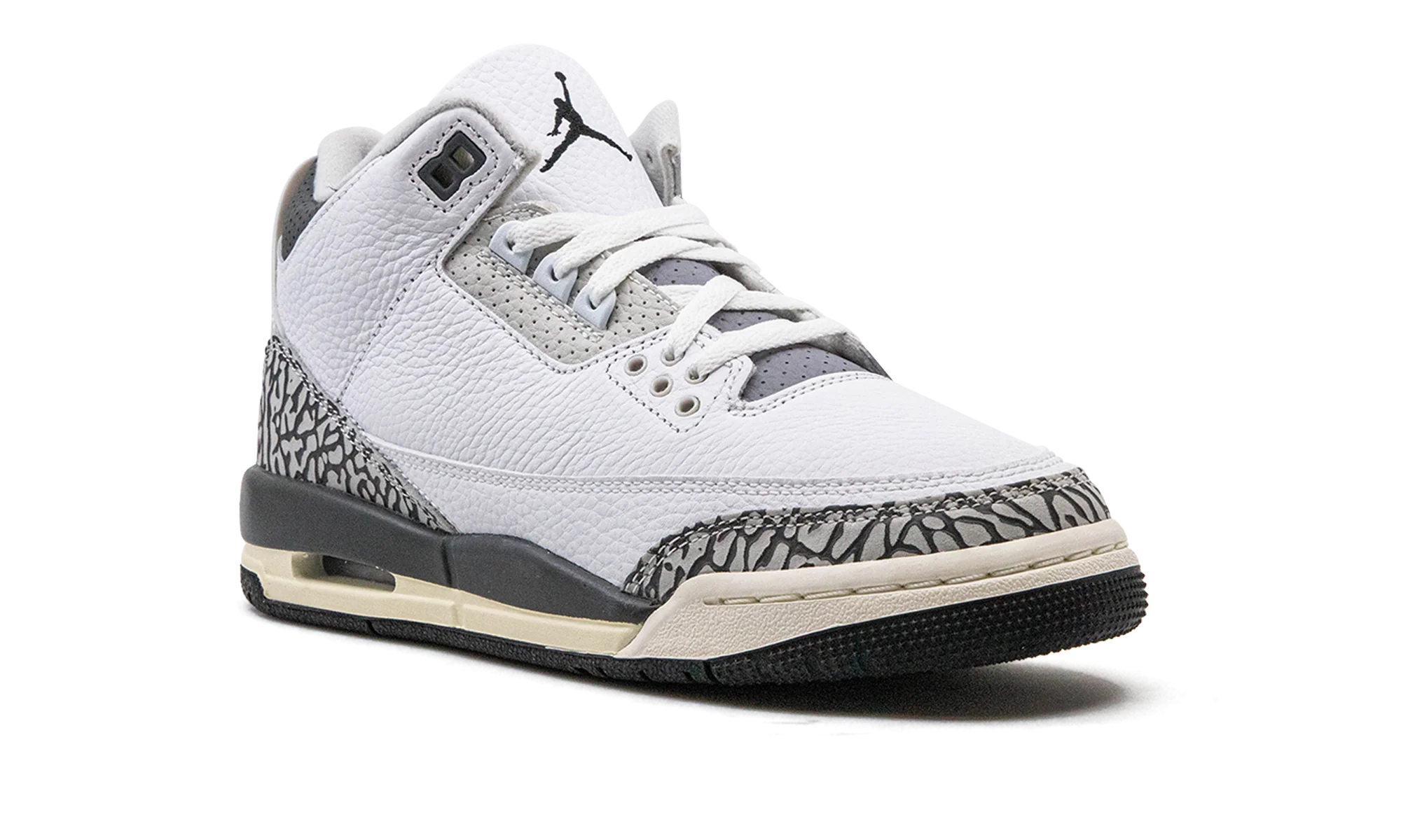 Air Jordan 3 GS "Hide N Sneak" DX6665 100