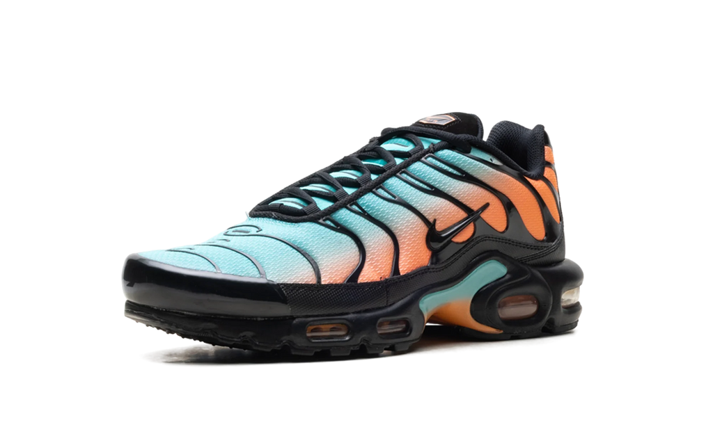 Air Max Plus "South Beach" DM0032 022
