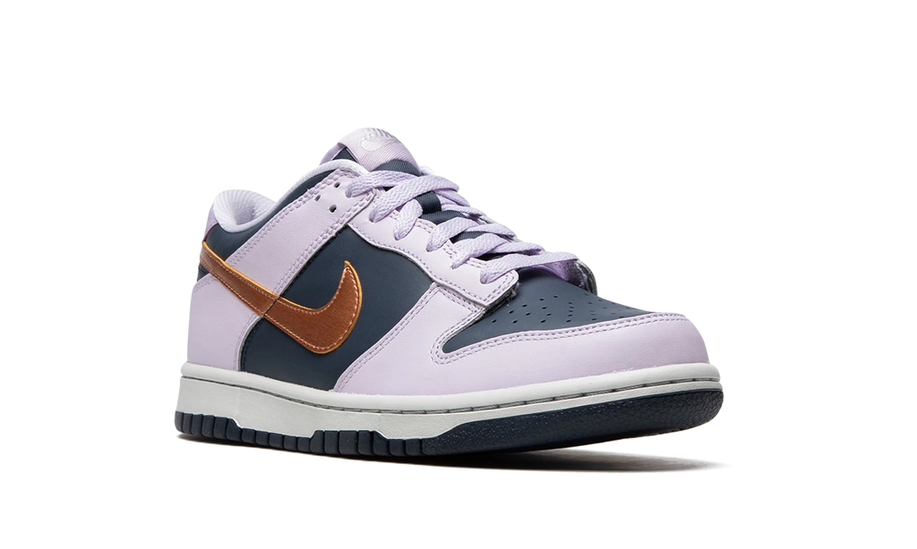 Dunk Low Se "Copper Swoosh" DX1663 400