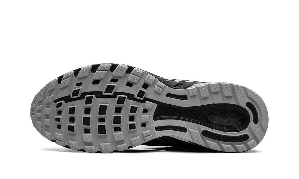 Air Pegasus 2K5 "Metallic Silver" HQ5403 001