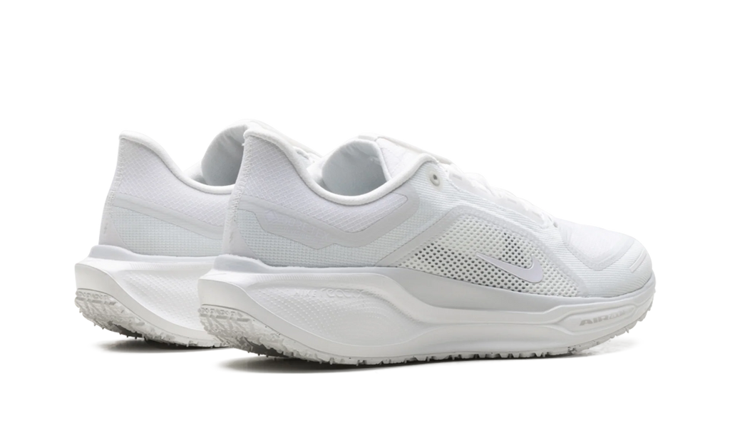 Air Zoom Pegasus 41 "Gore-Tex" FQ1356 101