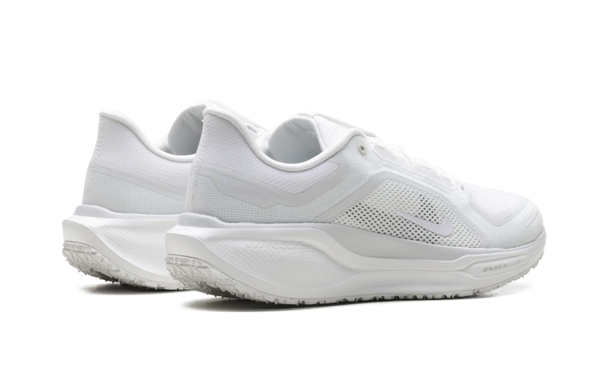 Air Zoom Pegasus 41 "Gore-Tex" FQ1356 101