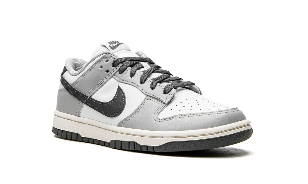 DUNK LO MNS WMNS "Light Smoke Grey" DD1503 117