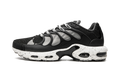 Air Max Plus Terrascape "Off Noir" DN4590 001