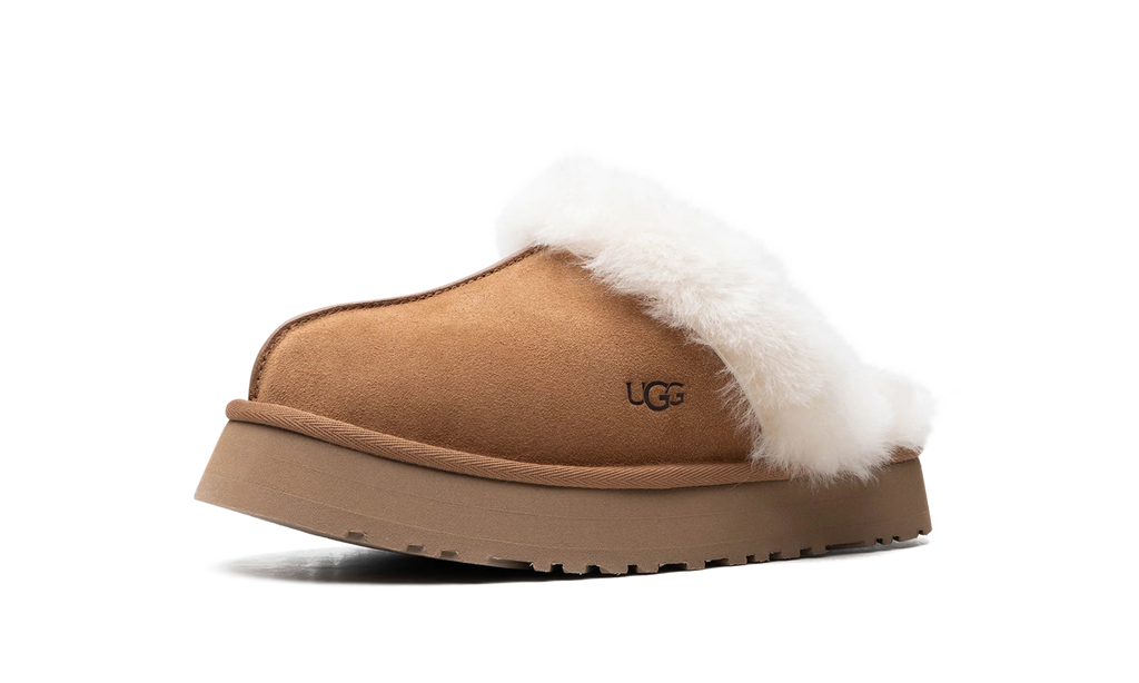 DISQUETTE WMNS "Chestnut" 1122550 CHE