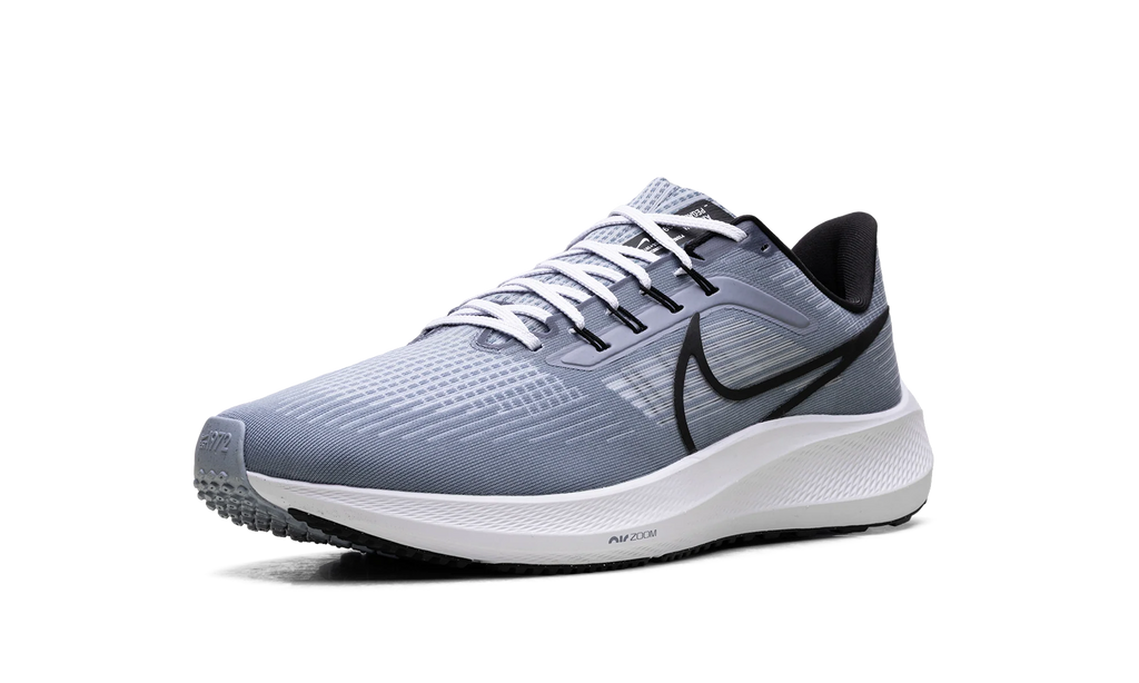 Air Zoom Pegasus 39 "Ashen Slate / Black" DH4071 401