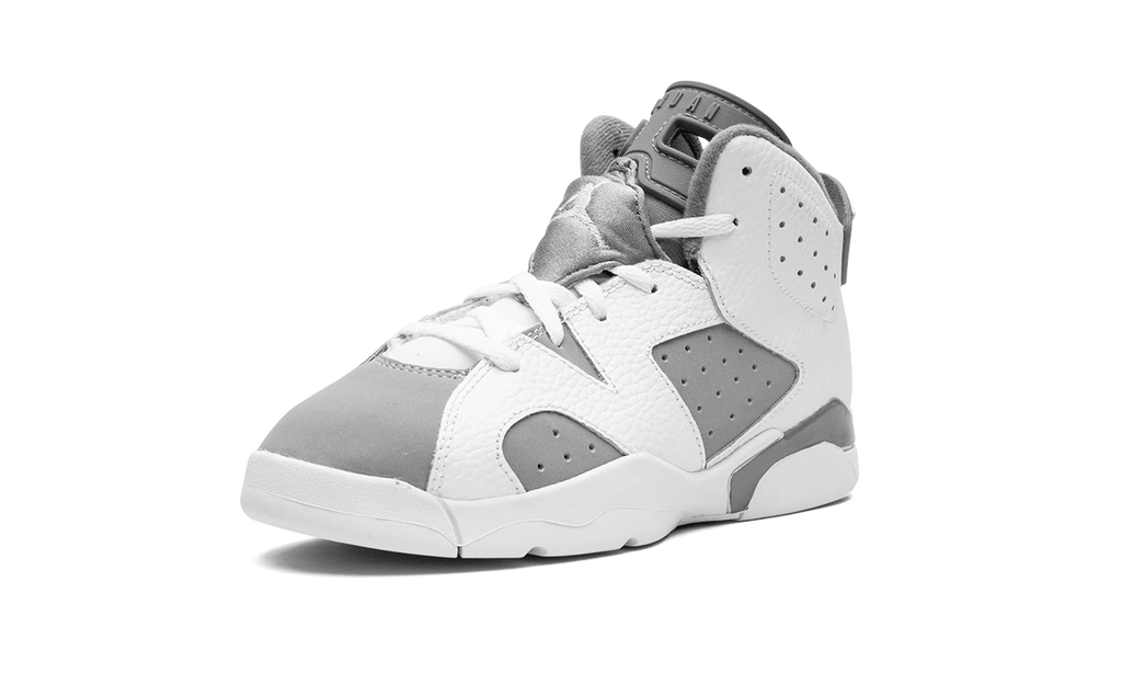 Air Jordan 6 PS "Cool Grey" DV3605 100