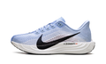 Pegasus Plus WMNS "Aluminum/Black-Royal Pulse" FQ7261 402