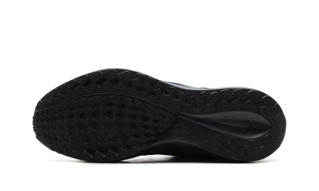 Air Zoom Pegasus 41 "Black Anthracite" FD2722-001