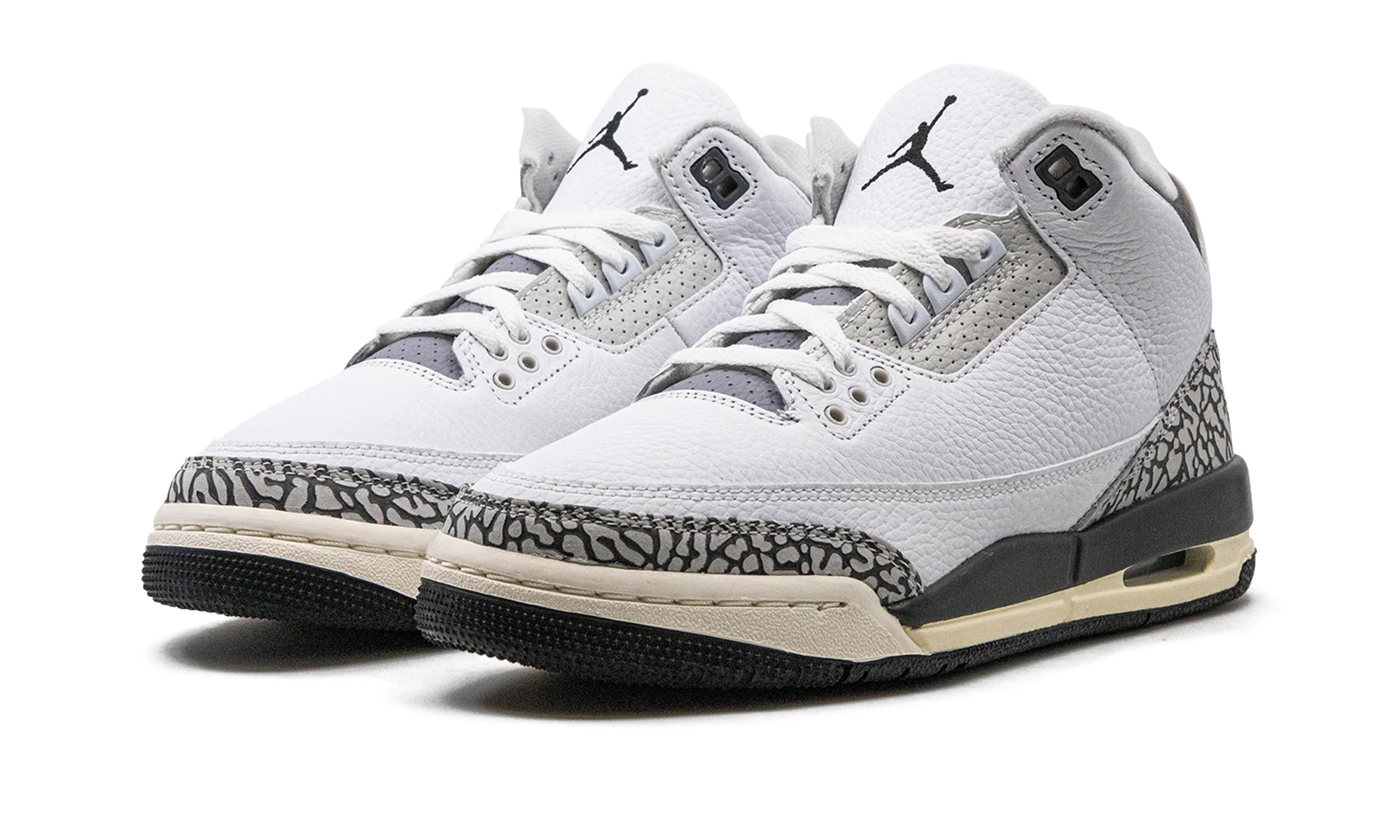 Air Jordan 3 GS "Hide N Sneak" DX6665 100