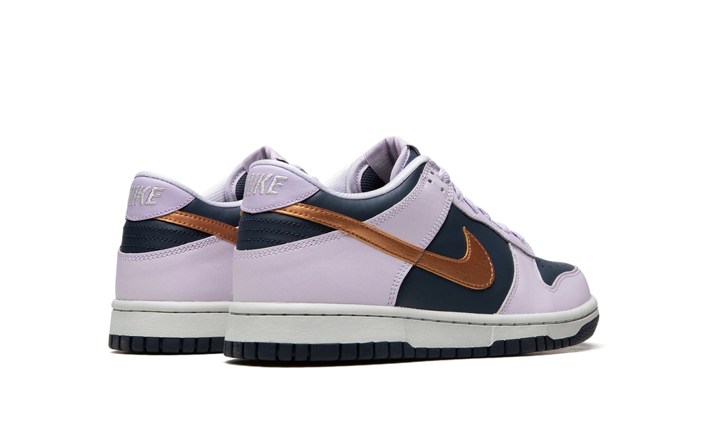 Dunk Low Se "Copper Swoosh" DX1663 400