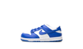 Dunk Low TD "Kentucky 2025" FB9107 131