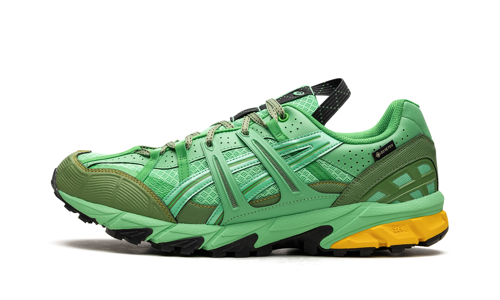 HS4-S Gel-Sonoma 15-50 Gore-TEX "Spring Bouquet" 1201A440 300