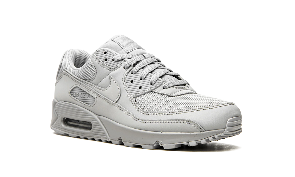 Air Max 90 "Wolf Grey" CN8490 001