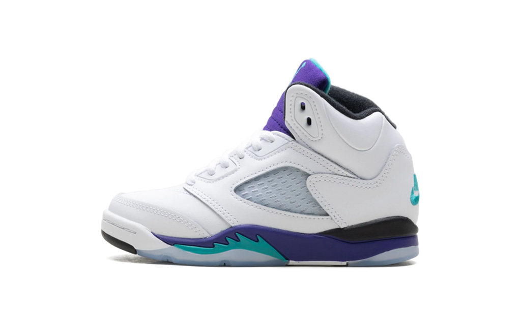 Air Jordan 5 Retro PS "Grape" HQ7979 100