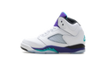 Air Jordan 5 Retro PS "Grape" HQ7979 100
