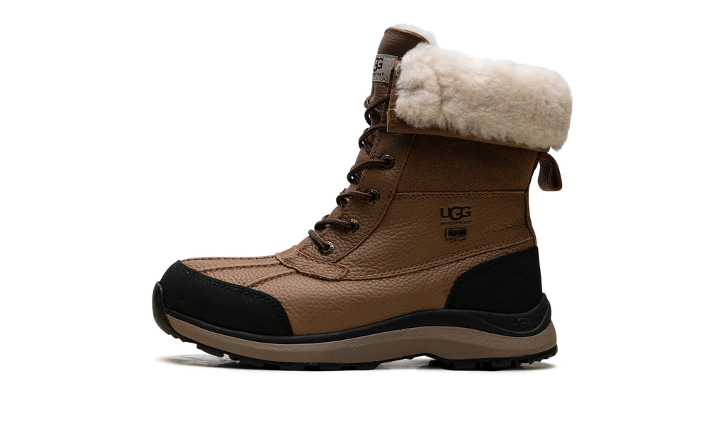 Adirondack III Boot WMNS "Chestnut" 1095141 CHE