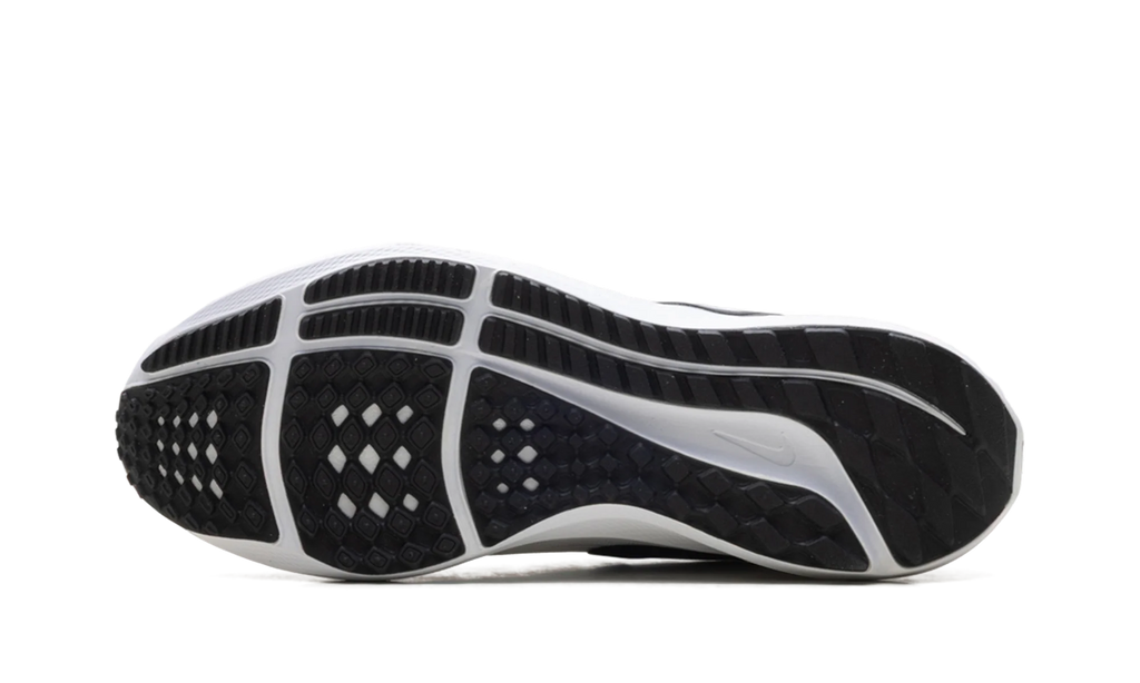 Air Zoom Pegasus 39 TB WMNS "WHITE BLACK" DM0165 100